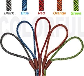 img 1 attached to 🐶 Mycicy 1/4" x 5ft Slip Lead Dog Leash: Durable, No-Pull Training Leash for Small & Medium Dogs