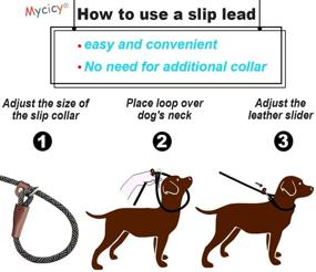 img 2 attached to 🐶 Mycicy 1/4" x 5ft Slip Lead Dog Leash: Durable, No-Pull Training Leash for Small & Medium Dogs