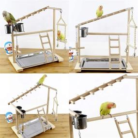 img 2 attached to 🐦 Premium Wood Bird Playground Stand with Swing, Ladder, Feeder Cups, and Hanging Bell for Parrots, Cockatiels, and Birds - Creproly Birdcage Perch Playstand Play Gym