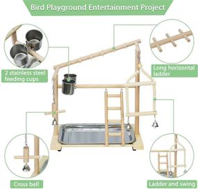 img 1 attached to 🐦 Premium Wood Bird Playground Stand with Swing, Ladder, Feeder Cups, and Hanging Bell for Parrots, Cockatiels, and Birds - Creproly Birdcage Perch Playstand Play Gym