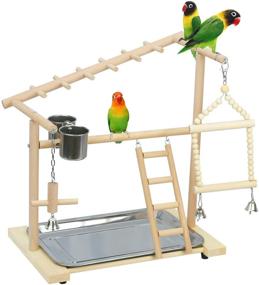 img 4 attached to 🐦 Premium Wood Bird Playground Stand with Swing, Ladder, Feeder Cups, and Hanging Bell for Parrots, Cockatiels, and Birds - Creproly Birdcage Perch Playstand Play Gym