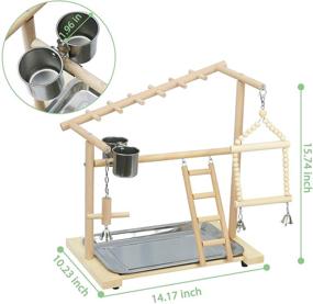 img 3 attached to 🐦 Premium Wood Bird Playground Stand with Swing, Ladder, Feeder Cups, and Hanging Bell for Parrots, Cockatiels, and Birds - Creproly Birdcage Perch Playstand Play Gym