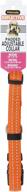 🐾 stylish and durable aspen pet products 0301954 nylon pet collar in orange, size 3/8 by 10-16 inches logo