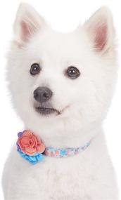 img 1 attached to 🌸 Stunning Floral Dog Collars in 9 Patterns: Blueberry Pet's Expertly Crafted Collection