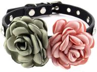 petfavorites rhinestone flower pet collar logo