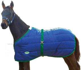 img 1 attached to 🐴 Weatherbeeta 420D Foal Standard Neck Medium: Superior Weather Protection for Young Horses