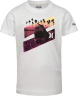 👕 hurley character graphic tee shirt in white - boy's tops, tees, and shirts logo