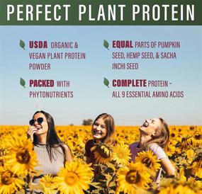img 1 attached to Perfect Supplements Plant Protein Pumpkin