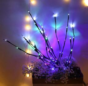 img 3 attached to 🌿 Ветки лампы Winnes 2 Pack LED Willow с 40 теплыми белыми светодиодами для декора дома на праздники