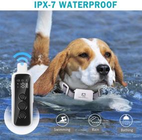 img 1 attached to 🐶 Paws Furlosophy Remote Dog Training Collar, Non-Shock Dog Collar, 1000ft Range Control E Collar, 3 Training Modes, Ideal for Small, Medium, Large Dogs, IPX7 Waterproof