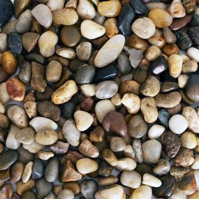 img 4 attached to 🐠 Enhance Your Aquarium with Galashield River Rocks Polished Pebbles: 2 lb Bag of Decorative Natural Aquarium Gravel