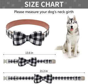 img 3 attached to Adjustable Mihachi Plaid Bowtie Dog Collar - Premium Classic Christmas Collar with Metallic Buckle for Medium to Large Dogs