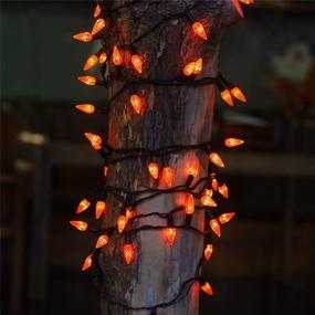 img 2 attached to 🎃 Twinkle Star C6 Halloween String Lights: 100 LED 33ft Fairy Lights for Indoor/Outdoor Decor - Orange