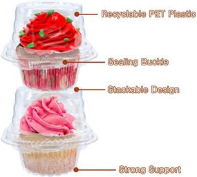 img 2 attached to 50 PCS Stackable Individual Cupcake Container – BPA-Free Plastic with Deep Dome, Disposable Cupcake Boxes for Parties, Weddings, and More!