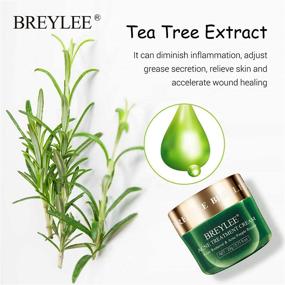 img 2 attached to BREYLEE Tea Tree Oil Acne Treatment Cream | Clear Severe Acne, Breakouts, and Remove Pimples | Repair Skin | 20ml, 0.7oz