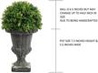 admired nature abn5p004 ntrl topiary small logo
