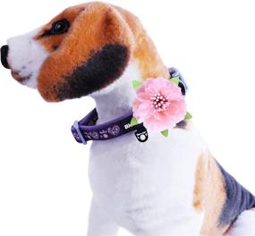 img 2 attached to Stylish Purple-Heart Dog Collar with Removable Pink Flower for Small, Medium & Large Dogs ─ Soft, Thick, and Comfortable BLEIES Collar (L)