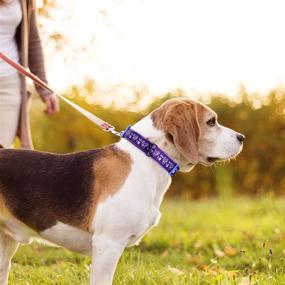 img 1 attached to Stylish Purple-Heart Dog Collar with Removable Pink Flower for Small, Medium & Large Dogs ─ Soft, Thick, and Comfortable BLEIES Collar (L)