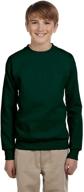 hanes comfortblend ecosmart crewneck sweatshirt_light boys' clothing for fashion hoodies & sweatshirts logo