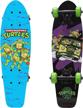 playwheels teenage turtles cruiser skateboard logo