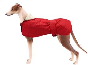 img 4 attached to 🐶 Stay Warm and Stylish: Quilted Greyhound Coat with Harness Hole