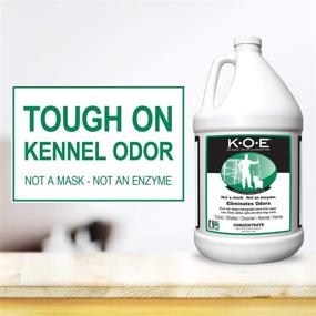 img 3 attached to 🐶 Get Rid of Kennel Odor with K-O-E Mild Ginger Eliminator - 1 Gallon Size