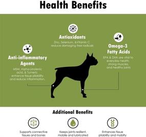 img 3 attached to ✨ Enhance Your Pet's Joint Health with Hylox Soft Chews by HealthyPets, Inc.