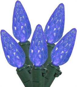 img 1 attached to 💡 Vickerman C6 LED Light Set - 50 Light Blue Lights on Green Wire