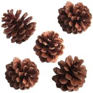 sbyure package natural pinecones crafts logo