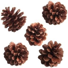 img 4 attached to SBYURE Package Natural Pinecones Crafts