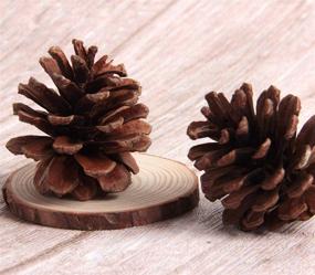img 3 attached to SBYURE Package Natural Pinecones Crafts
