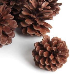 img 1 attached to SBYURE Package Natural Pinecones Crafts