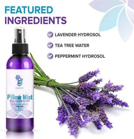 img 2 attached to 🌿 Lavender Pillow Mist - Enhances Skin Clarity & Guards Against Acne-Causing Bacteria, Refreshes Pillows, Pillowcases, Beddings, and Sheets, 4 fl oz