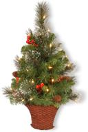 🎄 3 feet pre-lit green artificial mini christmas tree by national tree company - crestwood spruce with white lights, decorated with frosted branches, pine cones, and berry clusters, complete with wicker base logo