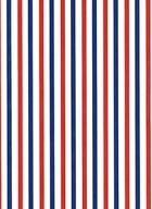 patriotic stripes wrapping paper sheet logo