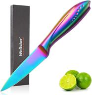 rainbow wellstar stainless beautiful titanium logo