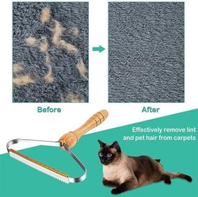 img 1 attached to 🧹 Portable Lint Remover, Fority 2 Pack: Effective Pet Hair Cleaner for Clothes, Carpets, Car Mats & Blankets