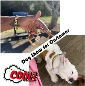 img 1 attached to 🐶 PRADOG 18K Gold Chain Dog Collar: Zirconia Locking, Stainless Steel Metal Cuban Link for Luxurious Training and Walking of XSmall, Small, Medium, and Large Dogs