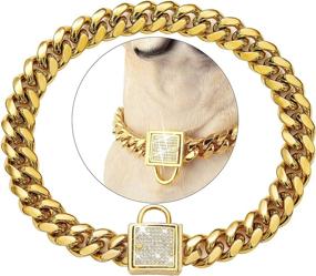 img 4 attached to 🐶 PRADOG 18K Gold Chain Dog Collar: Zirconia Locking, Stainless Steel Metal Cuban Link for Luxurious Training and Walking of XSmall, Small, Medium, and Large Dogs