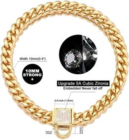 img 3 attached to 🐶 PRADOG 18K Gold Chain Dog Collar: Zirconia Locking, Stainless Steel Metal Cuban Link for Luxurious Training and Walking of XSmall, Small, Medium, and Large Dogs