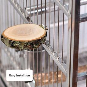 img 3 attached to 🐦 Enhance Your Bird Cage with Hamiledyi Perch Platform: Natural Round Wooden Stand for Parakeets, Parrots, and More (2 Pcs)