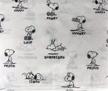 birkshire peanuts snoopy emotions sheet logo