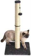 🐱 gray 16 x 16 x 32 inches amazon basics medium cat scratching post logo