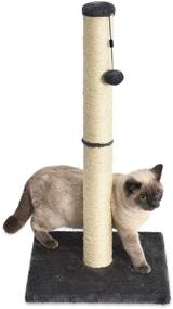 img 4 attached to 🐱 Gray 16 x 16 x 32 Inches Amazon Basics Medium Cat Scratching Post