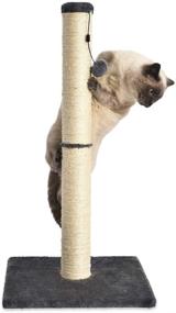 img 2 attached to 🐱 Gray 16 x 16 x 32 Inches Amazon Basics Medium Cat Scratching Post
