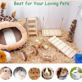 img 1 attached to 🐭 Rodent Chew Toys, Small Pet Chewing and Play Set with 11 Pieces Natural Wooden Pine Toys for Hamsters, Guinea Pigs, Rabbits, Gerbils, and Chinchillas - Promotes Exercise, Teeth Care, and Entertainment