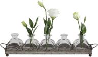 🖼️ decorative iron rectangle tray with handles & 5 glass vases by creative co-op logo
