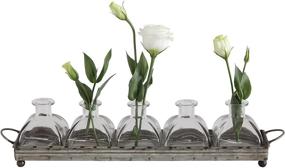 img 2 attached to 🖼️ Decorative Iron Rectangle Tray with Handles & 5 Glass Vases by Creative Co-Op