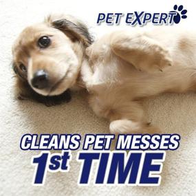 img 2 attached to 🧼 Pet Carpet Steam Cleaner Solution - 60 fl oz Bottle: A Solution for Effective Cleaning