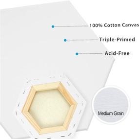 img 3 attached to 🎨 PHOENIX Hexagon Stretched Canvas Set - 6 PCS for Painting - Triple Primed for Oil & Acrylic - Variety of Sizes